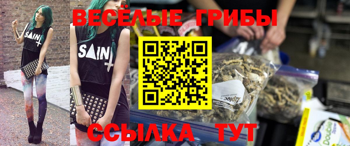 Галлюциногенные грибы мухоморы  Вход с VPN  Знаменск 